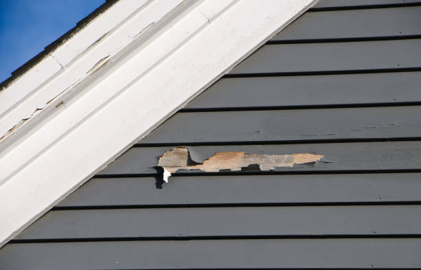 Affordable Siding Repair and Maintenance Services in Lees Summit, MO